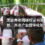 国家养老网版权证书落地,养老产业数字化如何破局?(图2) 国家养老网版权证书落地,养老产业数字化如何破局?(图2)