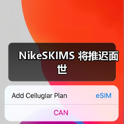 NikeSKIMS 将推迟面世(图1) NikeSKIMS 将推迟面世(图1)