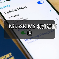 NikeSKIMS 将推迟面世(图3) NikeSKIMS 将推迟面世(图3)
