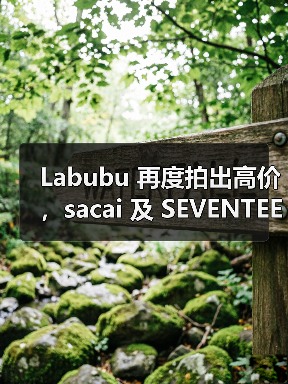 Labubu 再度拍出高价,sacai 及 SEVENTEEN 双重加持(图1) Labubu 再度拍出高价,sacai 及 SEVENTEEN 双重加持(图1)