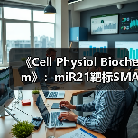 《Cell Physiol Biochem》:miR21靶标SMAD7促进心肌梗死后的心肌纤维化(图4) 《Cell Physiol Biochem》:miR21靶标SMAD7促进心肌梗死后的心肌纤维化(图4)