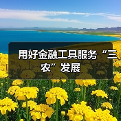 用好金融工具服务“三农”发展(图4) 用好金融工具服务“三农”发展(图4)