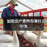 加密资产走热带来什么价值(图4) 加密资产走热带来什么价值(图4)