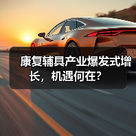 康复辅具产业爆发式增长,机遇何在?(图4) 康复辅具产业爆发式增长,机遇何在?(图4)