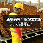 康复辅具产业爆发式增长,机遇何在?(图2) 康复辅具产业爆发式增长,机遇何在?(图2)