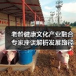 老龄健康文化产业融合专家座谈解析发展路径(图3) 老龄健康文化产业融合专家座谈解析发展路径(图3)
