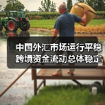 中国外汇市场运行平稳 跨境资金流动总体稳定