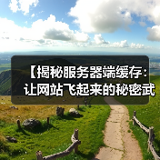 【揭秘服务器端缓存:让网站飞起来的秘密武器】(图4) 【揭秘服务器端缓存:让网站飞起来的秘密武器】(图4)