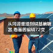 从同源重组到碱基编辑器 看基因编辑72变(图2) 从同源重组到碱基编辑器 看基因编辑72变(图2)