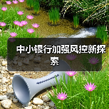 中小银行加强风控新探索(图2) 中小银行加强风控新探索(图2)