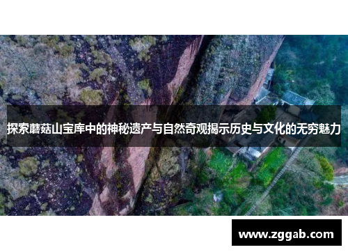 探索蘑菇山宝库中的神秘遗产与自然奇观揭示历史与文化的无穷魅力